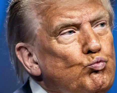 Trump vs Facts Review: No Other Channel Would Dare TV So Audacious (and) Repetitive