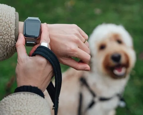 The Honest Scoop Concerning Smartwatches? Living Improves Without a Bossy Gadget on Your Arm